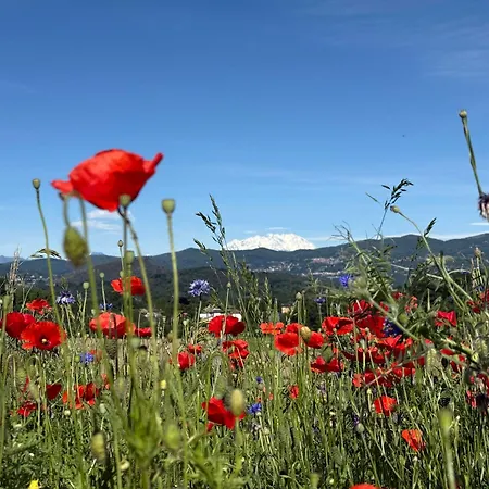 A Casa Di Ale Maggiore Private Outdoor Sauna بيت للعطل *