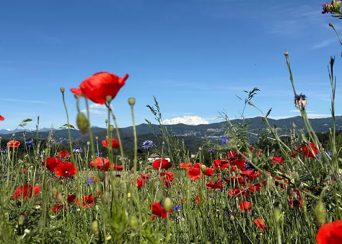 A Casa Di Ale Maggiore Private Outdoor Sauna بيت للعطل *